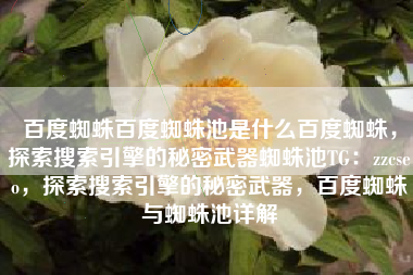 百度蜘蛛百度蜘蛛池是什么百度蜘蛛，探索搜索引擎的秘密武器蜘蛛池TG：zzcseo，探索搜索引擎的秘密武器，百度蜘蛛与蜘蛛池详解
