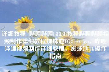 详细教程_哔哩哔哩bilibili教程哔哩哔哩视频制作详细教程蜘蛛池TG：zzcseo，哔哩哔哩视频制作详细教程，蜘蛛池TG操作指南