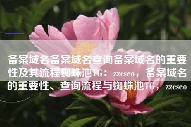 备案域名备案域名查询备案域名的重要性及其流程蜘蛛池TG：zzcseo，备案域名的重要性、查询流程与蜘蛛池TG，zzcseo
