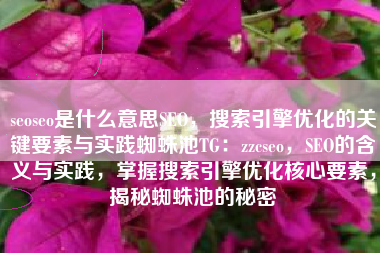 seoseo是什么意思SEO，搜索引擎优化的关键要素与实践蜘蛛池TG：zzcseo，SEO的含义与实践，掌握搜索引擎优化核心要素，揭秘蜘蛛池的秘密