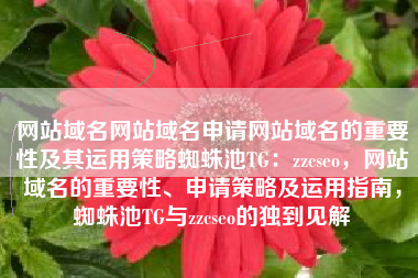 网站域名网站域名申请网站域名的重要性及其运用策略蜘蛛池TG：zzcseo，网站域名的重要性、申请策略及运用指南，蜘蛛池TG与zzcseo的独到见解
