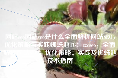 网站seo网站seo是什么全面解析网站SEO，优化策略与实践蜘蛛池TG：zzcseo，全面解析网站SEO，优化策略、实践及蜘蛛池技术指南