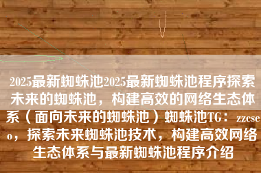 2025最新蜘蛛池2025最新蜘蛛池程序探索未来的蜘蛛池，构建高效的网络生态体系（面向未来的蜘蛛池）蜘蛛池TG：zzcseo，探索未来蜘蛛池技术，构建高效网络生态体系与最新蜘蛛池程序介绍