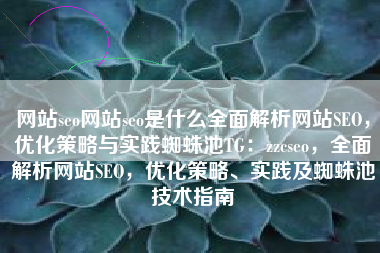 网站seo网站seo是什么全面解析网站SEO，优化策略与实践蜘蛛池TG：zzcseo，全面解析网站SEO，优化策略、实践及蜘蛛池技术指南