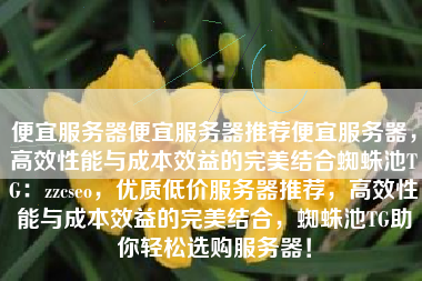 便宜服务器便宜服务器推荐便宜服务器，高效性能与成本效益的完美结合蜘蛛池TG：zzcseo，优质低价服务器推荐，高效性能与成本效益的完美结合，蜘蛛池TG助你轻松选购服务器！