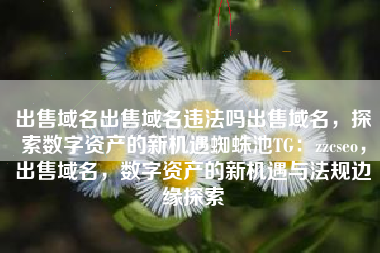 出售域名出售域名违法吗出售域名，探索数字资产的新机遇蜘蛛池TG：zzcseo，出售域名，数字资产的新机遇与法规边缘探索