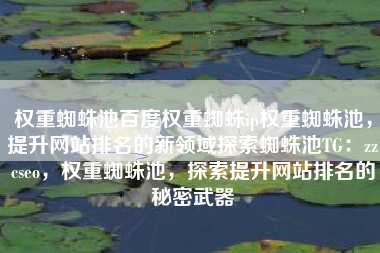权重蜘蛛池百度权重蜘蛛ip权重蜘蛛池，提升网站排名的新领域探索蜘蛛池TG：zzcseo，权重蜘蛛池，探索提升网站排名的秘密武器