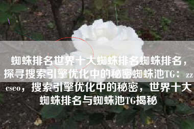 蜘蛛排名世界十大蜘蛛排名蜘蛛排名，探寻搜索引擎优化中的秘密蜘蛛池TG：zzcseo，搜索引擎优化中的秘密，世界十大蜘蛛排名与蜘蛛池TG揭秘