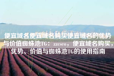 便宜域名便宜域名购买便宜域名的优势与价值蜘蛛池TG：zzcseo，便宜域名购买，优势、价值与蜘蛛池TG的使用指南