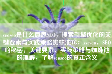 seoseo是什么意思SEO，搜索引擎优化的关键要素与实践策略蜘蛛池TG：zzcseo，SEO的秘密，关键要素、实践策略与蜘蛛池的理解，了解seoseo的真正含义