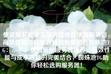 便宜服务器便宜服务器推荐便宜服务器，高效性能与成本效益的完美结合蜘蛛池TG：zzcseo，优质低价服务器推荐，高效性能与成本效益的完美结合，蜘蛛池TG助你轻松选购服务器！