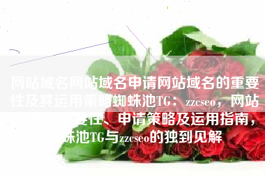 网站域名网站域名申请网站域名的重要性及其运用策略蜘蛛池TG：zzcseo，网站域名的重要性、申请策略及运用指南，蜘蛛池TG与zzcseo的独到见解