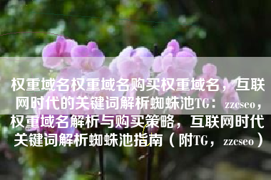 权重域名权重域名购买权重域名，互联网时代的关键词解析蜘蛛池TG：zzcseo，权重域名解析与购买策略，互联网时代关键词解析蜘蛛池指南（附TG，zzcseo）
