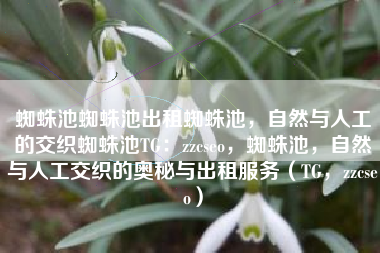 蜘蛛池蜘蛛池出租蜘蛛池，自然与人工的交织蜘蛛池TG：zzcseo，蜘蛛池，自然与人工交织的奥秘与出租服务（TG，zzcseo）