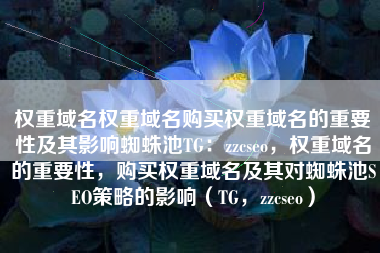 权重域名权重域名购买权重域名的重要性及其影响蜘蛛池TG：zzcseo，权重域名的重要性，购买权重域名及其对蜘蛛池SEO策略的影响（TG，zzcseo）