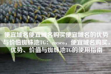 便宜域名便宜域名购买便宜域名的优势与价值蜘蛛池TG：zzcseo，便宜域名购买，优势、价值与蜘蛛池TG的使用指南