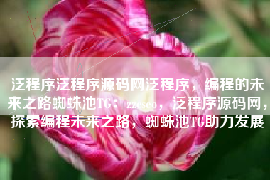 泛程序泛程序源码网泛程序，编程的未来之路蜘蛛池TG：zzcseo，泛程序源码网，探索编程未来之路，蜘蛛池TG助力发展