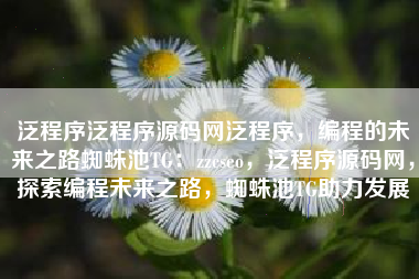 泛程序泛程序源码网泛程序，编程的未来之路蜘蛛池TG：zzcseo，泛程序源码网，探索编程未来之路，蜘蛛池TG助力发展