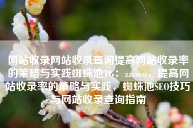 网站收录网站收录查询提高网站收录率的策略与实践蜘蛛池TG：zzcseo，提高网站收录率的策略与实践，蜘蛛池SEO技巧与网站收录查询指南
