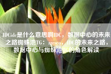 IDCidc是什么意思啊IDC，数据中心的未来之路蜘蛛池TG：zzcseo，IDC的未来之路，数据中心与蜘蛛池TG的角色解读