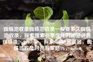 蜘蛛池收录蜘蛛池收录一般要多久蜘蛛池收录，探索搜索引擎优化的秘密武器蜘蛛池TG：zzcseo，探索SEO秘密武器，蜘蛛池收录时间与策略TG，zzcseo