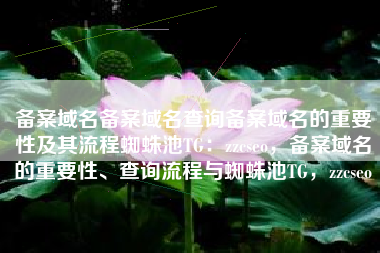 备案域名备案域名查询备案域名的重要性及其流程蜘蛛池TG：zzcseo，备案域名的重要性、查询流程与蜘蛛池TG，zzcseo