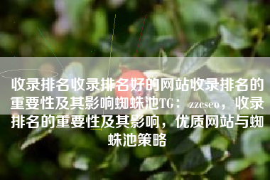 收录排名收录排名好的网站收录排名的重要性及其影响蜘蛛池TG：zzcseo，收录排名的重要性及其影响，优质网站与蜘蛛池策略