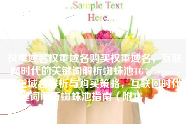 权重域名权重域名购买权重域名，互联网时代的关键词解析蜘蛛池TG：zzcseo，权重域名解析与购买策略，互联网时代关键词解析蜘蛛池指南（附TG，zzcseo）