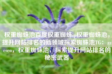 权重蜘蛛池百度权重蜘蛛ip权重蜘蛛池，提升网站排名的新领域探索蜘蛛池TG：zzcseo，权重蜘蛛池，探索提升网站排名的秘密武器