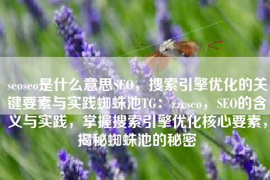 seoseo是什么意思SEO，搜索引擎优化的关键要素与实践蜘蛛池TG：zzcseo，SEO的含义与实践，掌握搜索引擎优化核心要素，揭秘蜘蛛池的秘密
