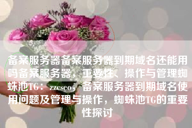 备案服务器备案服务器到期域名还能用吗备案服务器，重要性、操作与管理蜘蛛池TG：zzcseo，备案服务器到期域名使用问题及管理与操作，蜘蛛池TG的重要性探讨