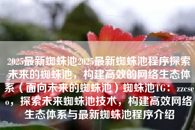 2025最新蜘蛛池2025最新蜘蛛池程序探索未来的蜘蛛池，构建高效的网络生态体系（面向未来的蜘蛛池）蜘蛛池TG：zzcseo，探索未来蜘蛛池技术，构建高效网络生态体系与最新蜘蛛池程序介绍