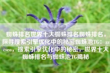 蜘蛛排名世界十大蜘蛛排名蜘蛛排名，探寻搜索引擎优化中的秘密蜘蛛池TG：zzcseo，搜索引擎优化中的秘密，世界十大蜘蛛排名与蜘蛛池TG揭秘