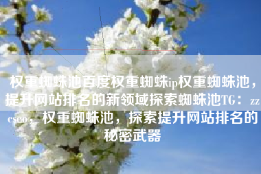 权重蜘蛛池百度权重蜘蛛ip权重蜘蛛池，提升网站排名的新领域探索蜘蛛池TG：zzcseo，权重蜘蛛池，探索提升网站排名的秘密武器