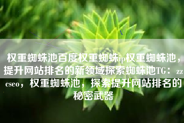 权重蜘蛛池百度权重蜘蛛ip权重蜘蛛池，提升网站排名的新领域探索蜘蛛池TG：zzcseo，权重蜘蛛池，探索提升网站排名的秘密武器
