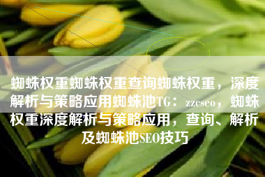 蜘蛛权重蜘蛛权重查询蜘蛛权重，深度解析与策略应用蜘蛛池TG：zzcseo，蜘蛛权重深度解析与策略应用，查询、解析及蜘蛛池SEO技巧