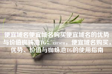 便宜域名便宜域名购买便宜域名的优势与价值蜘蛛池TG：zzcseo，便宜域名购买，优势、价值与蜘蛛池TG的使用指南