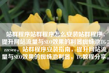站群程序站群程序怎么安装站群程序，提升网站流量与SEO效果的利器蜘蛛池TG：zzcseo，站群程序安装指南，提升网站流量与SEO效果的蜘蛛池利器，TG教程分享。
