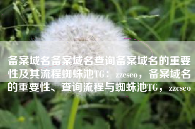 备案域名备案域名查询备案域名的重要性及其流程蜘蛛池TG：zzcseo，备案域名的重要性、查询流程与蜘蛛池TG，zzcseo