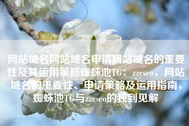 网站域名网站域名申请网站域名的重要性及其运用策略蜘蛛池TG：zzcseo，网站域名的重要性、申请策略及运用指南，蜘蛛池TG与zzcseo的独到见解