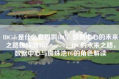 IDCidc是什么意思啊IDC，数据中心的未来之路蜘蛛池TG：zzcseo，IDC的未来之路，数据中心与蜘蛛池TG的角色解读