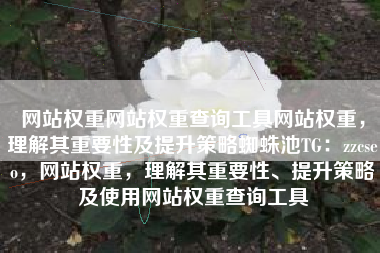 网站权重网站权重查询工具网站权重，理解其重要性及提升策略蜘蛛池TG：zzcseo，网站权重，理解其重要性、提升策略及使用网站权重查询工具