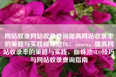 网站收录网站收录查询提高网站收录率的策略与实践蜘蛛池TG：zzcseo，提高网站收录率的策略与实践，蜘蛛池SEO技巧与网站收录查询指南