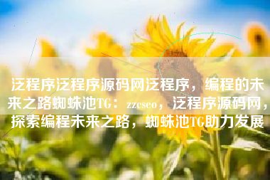 泛程序泛程序源码网泛程序，编程的未来之路蜘蛛池TG：zzcseo，泛程序源码网，探索编程未来之路，蜘蛛池TG助力发展