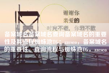 备案域名备案域名查询备案域名的重要性及其流程蜘蛛池TG：zzcseo，备案域名的重要性、查询流程与蜘蛛池TG，zzcseo