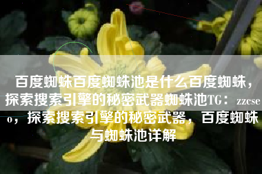 百度蜘蛛百度蜘蛛池是什么百度蜘蛛，探索搜索引擎的秘密武器蜘蛛池TG：zzcseo，探索搜索引擎的秘密武器，百度蜘蛛与蜘蛛池详解