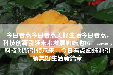 今日看点今日看点美好生活今日看点，科技创新引领未来发展蜘蛛池TG：zzcseo，科技创新引领未来，今日看点蜘蛛池引领美好生活新篇章