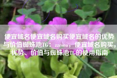 便宜域名便宜域名购买便宜域名的优势与价值蜘蛛池TG：zzcseo，便宜域名购买，优势、价值与蜘蛛池TG的使用指南