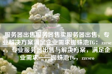 服务器出售服务器售卖服务器出售，专业解决方案满足企业需求蜘蛛池TG：zzcseo，专业服务器出售与解决方案，满足企业需求——蜘蛛池TG，zzcseo