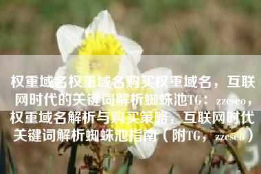 权重域名权重域名购买权重域名，互联网时代的关键词解析蜘蛛池TG：zzcseo，权重域名解析与购买策略，互联网时代关键词解析蜘蛛池指南（附TG，zzcseo）